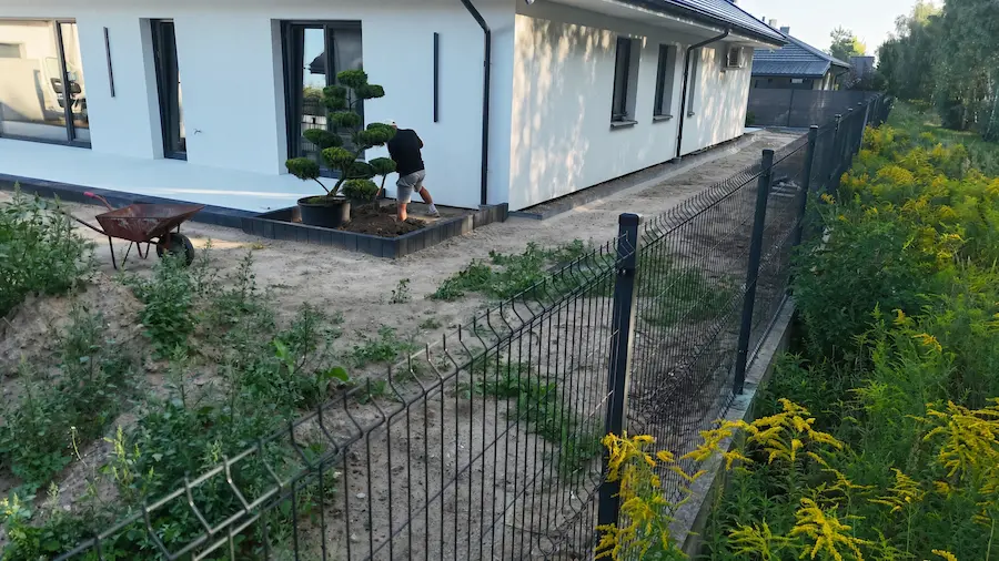Sadzenie drzewa formowanego na działce w Siedlcach — prace ogrodowe Ziemne.net na terenie po budowie, chwasty i piasek przed niwelacją oraz przygotowaniem pod trawnik.